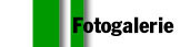 Fotogalerie